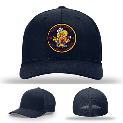 Gwinnett Fire Company 11